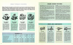 1965 Chevrolet Pickups (R1)-08-09.jpg